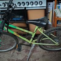 bicicletta