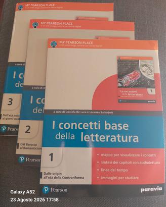 I concetti di base  della letteratura  