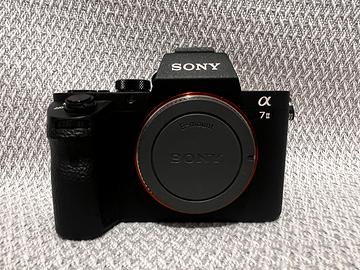 Sony Alpha 7ii + Obiettivo E-mount 28-70 sony