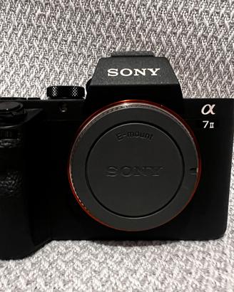 Sony Alpha 7ii + Obiettivo E-mount 28-70 sony