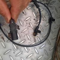 sensore ruota fonica honda integra e nc