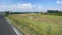 ter-agricolo-a-imola