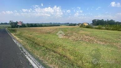 TER. AGRICOLO A IMOLA