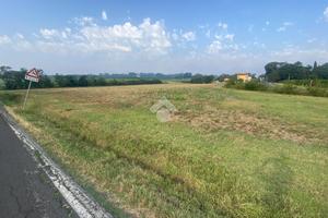 TER. AGRICOLO A IMOLA