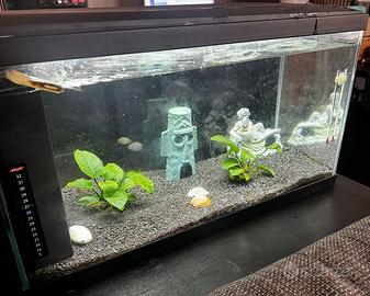 Acquario marca CIANO CFBIO-L 60 litri
