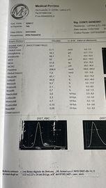 Gommone northstar 4.80 perfetto- no motore