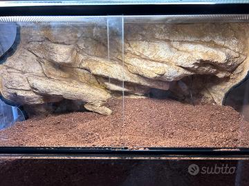 COMBO TERRARIO + ACCESSORI