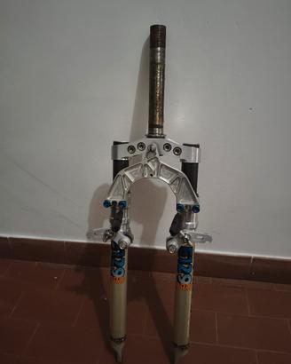 forcella Fimoco 