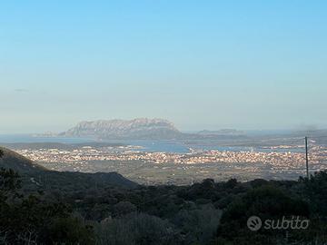 Olbia terreno in località Muddizza Piana