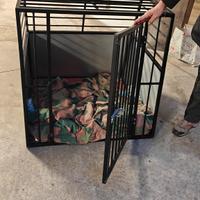 kennel 
