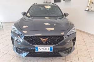 Cupra Formentor 2.0 TDI 4Drive DSG