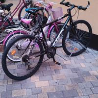 bicicletta Mountain bike 