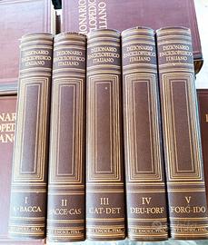 DIZIONARIO ENCICLOPEDICO TRECCANI COMPLETO