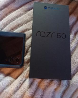 motorola razr 60
