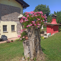 Appartamento per vacanze