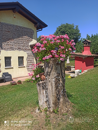 Appartamento per vacanze