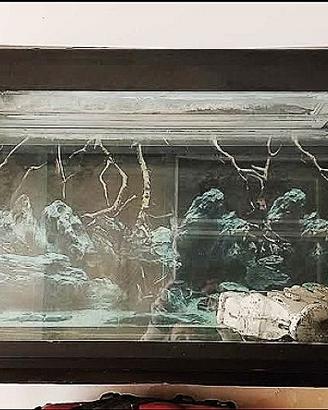 Acquario 
