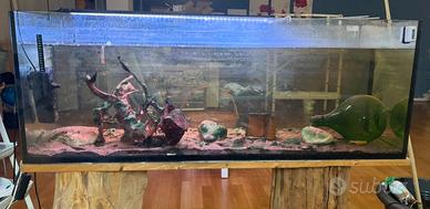 Acquario 150x 45x 60