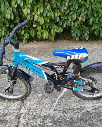 Bicicletta Bambino Blu