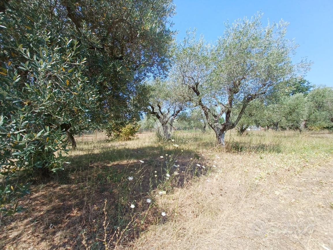 TER. AGRICOLO A CASTEL SANT'ELIA - Vista 3