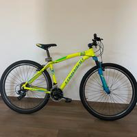 Mountain bike Torpado  Delta 29 ER