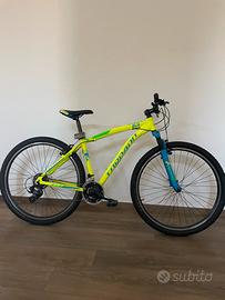 Mountain bike Torpado  Delta 29 ER