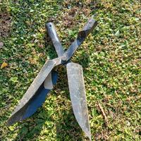 pianta pali forgiato