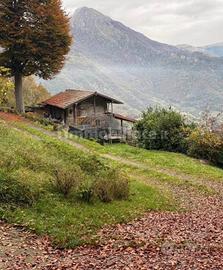 Terreno agricolo