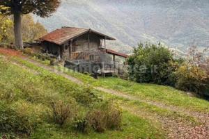 Terreno agricolo