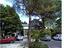 Immagine 15