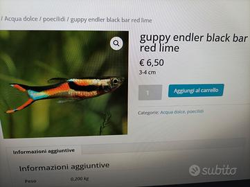 7 endler black bar 10 euro