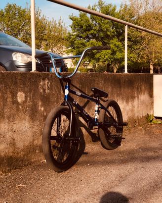 BMX Clut Professionale