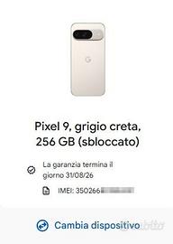 Pixel 9 256
