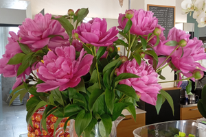 Attività commerciale bar