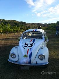 maggiolino 1300
