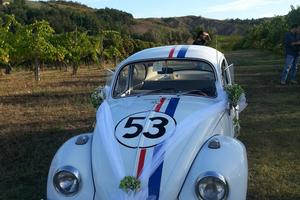 maggiolino 1300