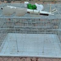 Piccola voliera gabbia per uccelli