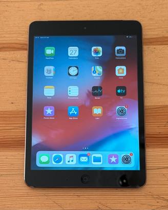 iPad mini 2 Wi-Fi + Cellular 16GB, batteria 92%