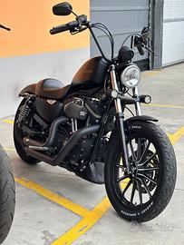 Harley davidson 883
