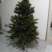 albero di natale