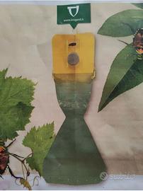 Trappola per popilia