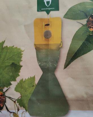 Trappola per popilia