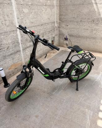 Bici elettrica