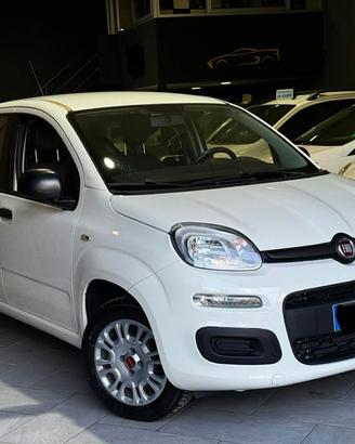 Fiat Panda 1.2 Easy NORD/ITA GIOIELLINO VERO