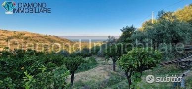Terreno agricolo 12.000 mq a piedimonte etneo