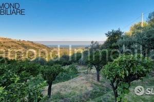 Terreno agricolo 12.000 mq a piedimonte etneo