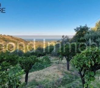 Terreno agricolo 12.000 mq a piedimonte etneo