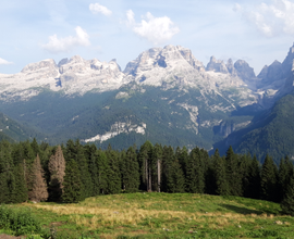 Cercoo casa vacanza in trentino