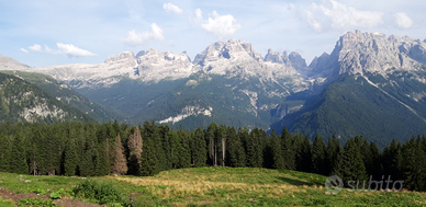 Cercoo casa vacanza in trentino