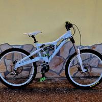 Cannondale PERP freeride